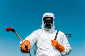 Best Pest Prevention Services  in Rockwood, MI